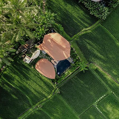 Arapan Ubud Eco Villa Exterior photo